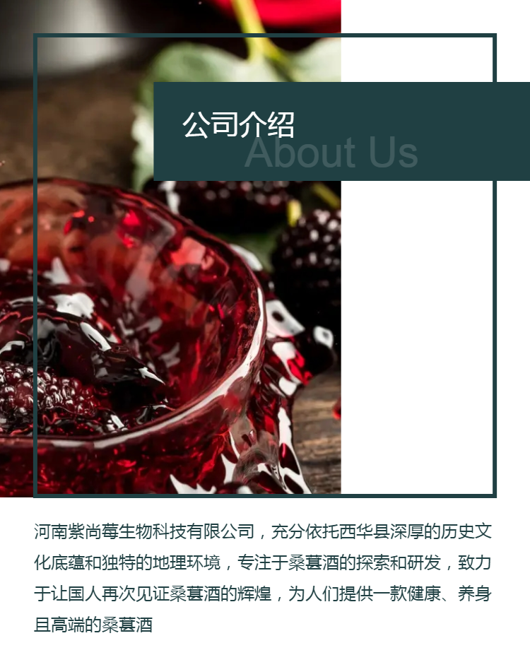 紫尚莓 原浆桑葚酒 红酒加盟 口感微甜 阴凉储藏.png