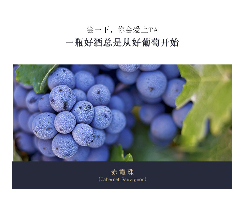 高级红酒聚会宴请佐餐自饮酒澳亨特利半干红葡萄酒750ml6瓶箱_59280bcc.jpg