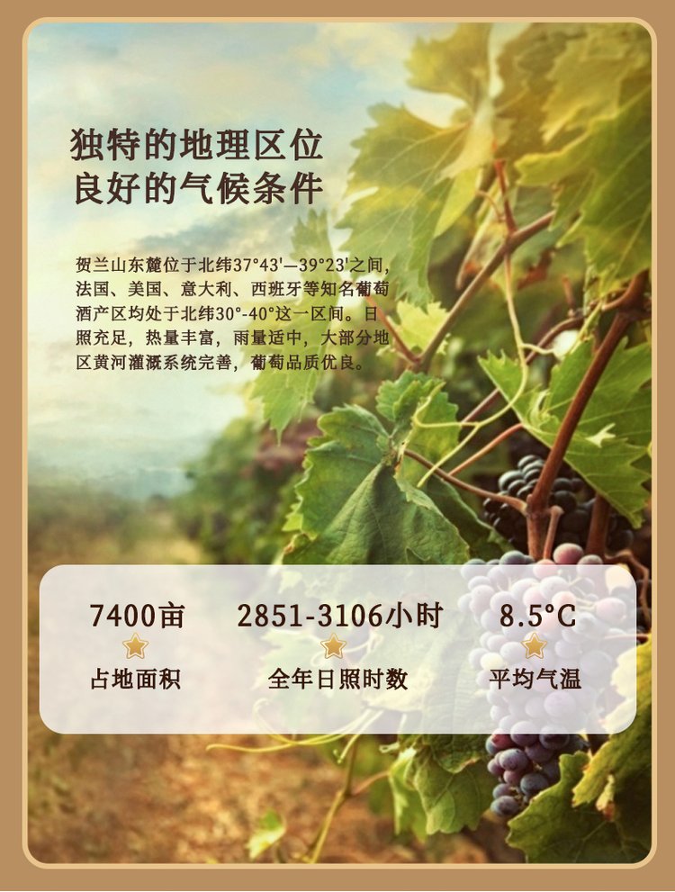 宁夏贺兰山东麓礼盒装红酒 国产赤霞珠干红葡萄酒 梅之吻红寺堡礼品_3d4c286a.jpg